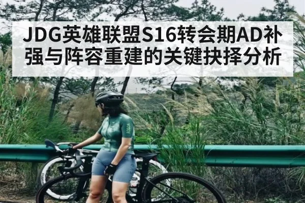 JDG英雄联盟S16转会期AD补强与阵容重建的关键抉择分析